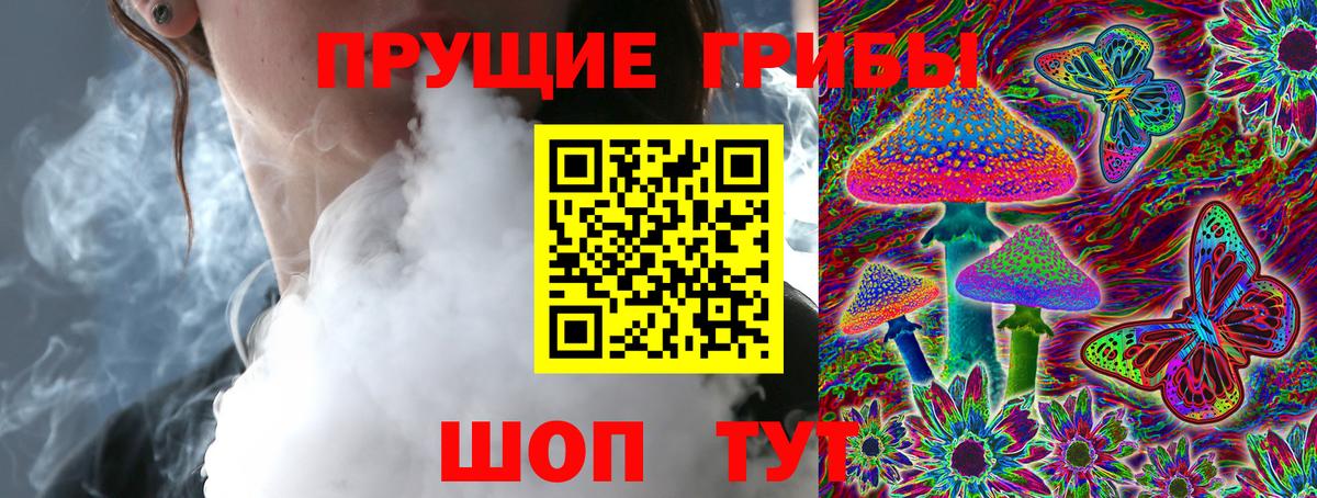 Галлюциногенные грибы Psilocybine cubensis  Калуга 