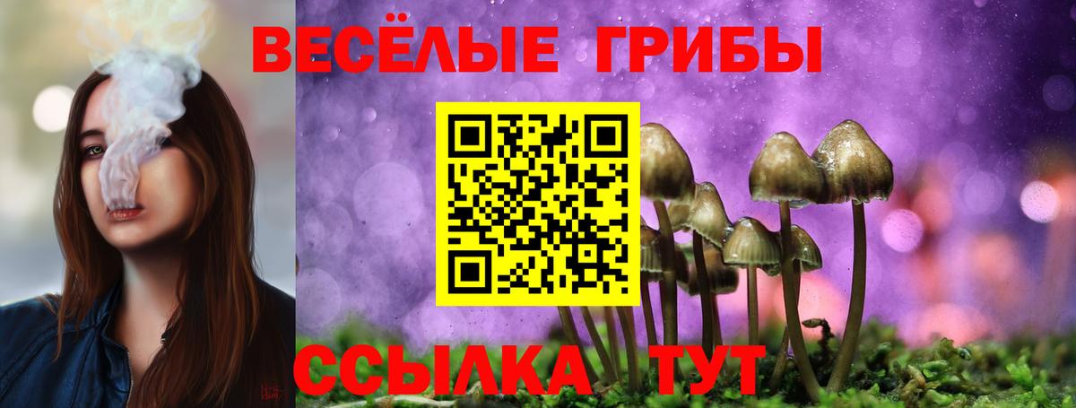 Галлюциногенные грибы GOLDEN TEACHER Калуга