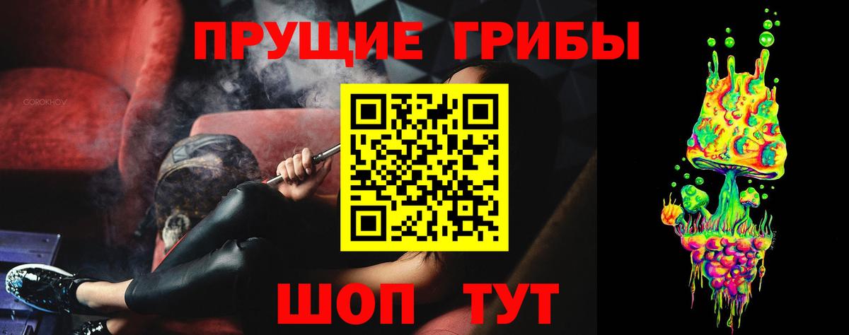 Псилоцибиновые грибы GOLDEN TEACHER Калуга